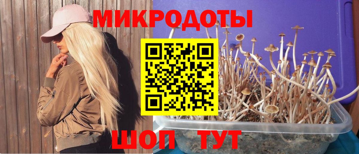Псилоцибиновые грибы MAGIC MUSHROOMS  Вход с VPN  Киров 