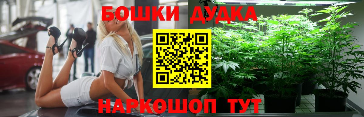 Канабис конопля Киров